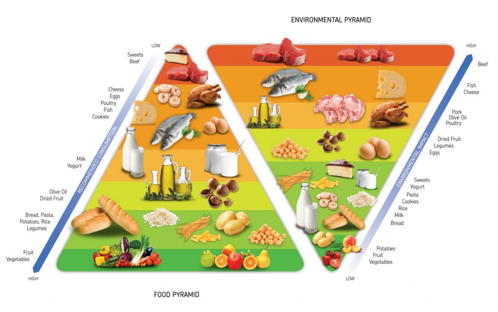 Una dieta sostenibile fa bene alla salute dell'uomo e dell'ambiente 1 doppia piramide alimentare Barilla Center Food Nutrition