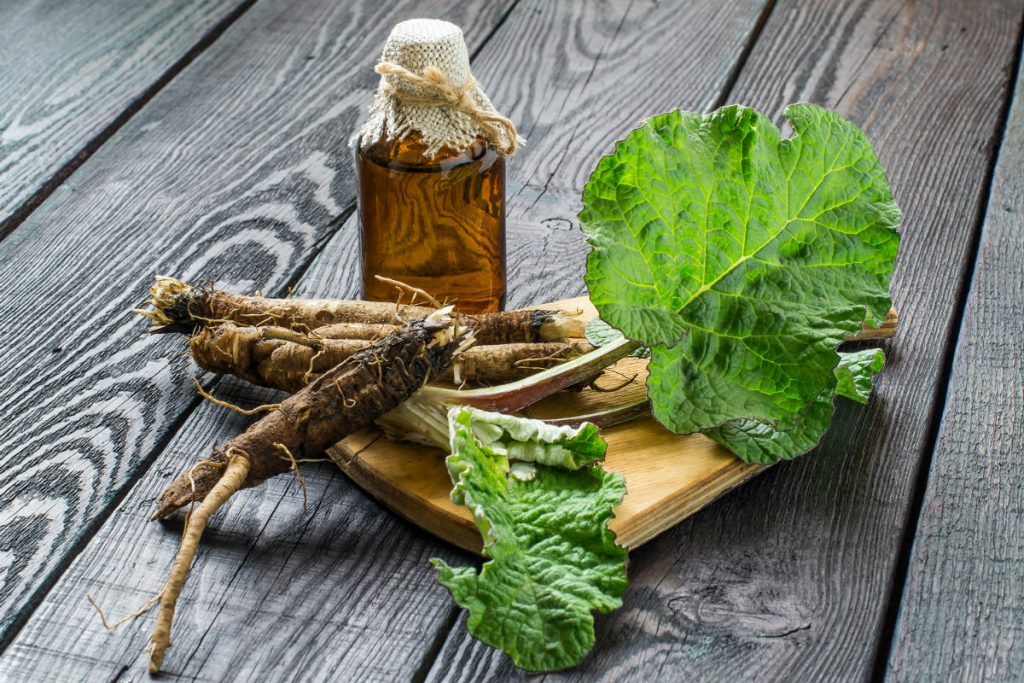 Rimedi naturali per il diabete: quali sono i più efficaci 3 rimedi naturali per il diabete: la bardana