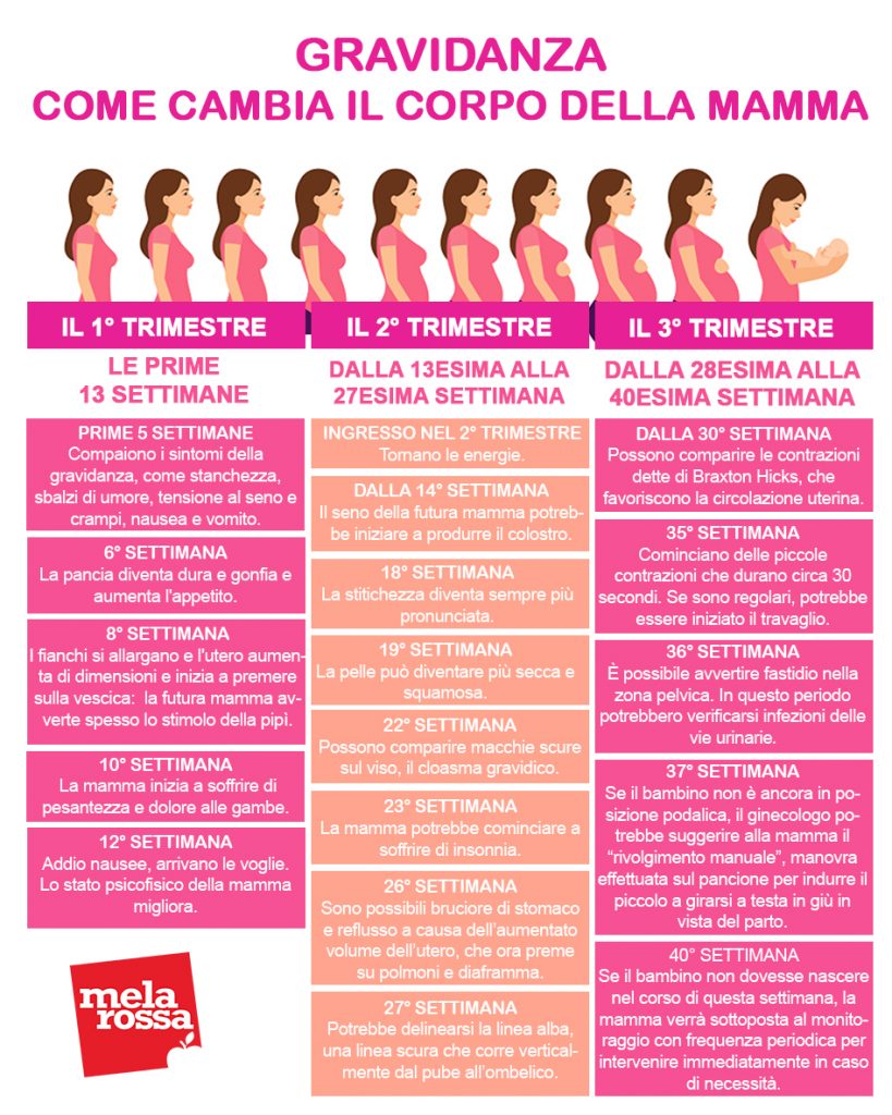 Calcolo delle settimane di gravidanza: la guida completa 6 calcolo settimane di gravidanza: come cambia il corpo della mamma