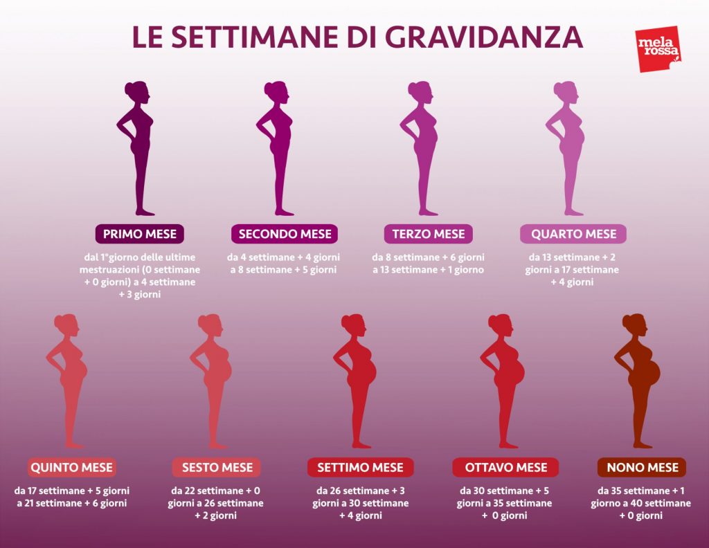 Calcolo delle settimane di gravidanza: la guida completa 2 calcolo delle settimane di gravidanza corrispondenza settimane mesi