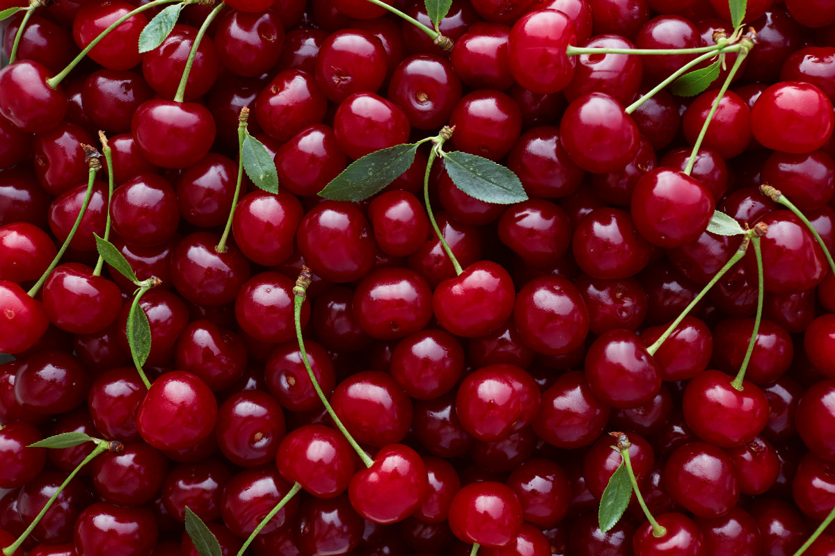 Ciliegie: calorie, valori nutrizionali, proprietà, benefici e le migliori ricette 13 ciliegie: botanica