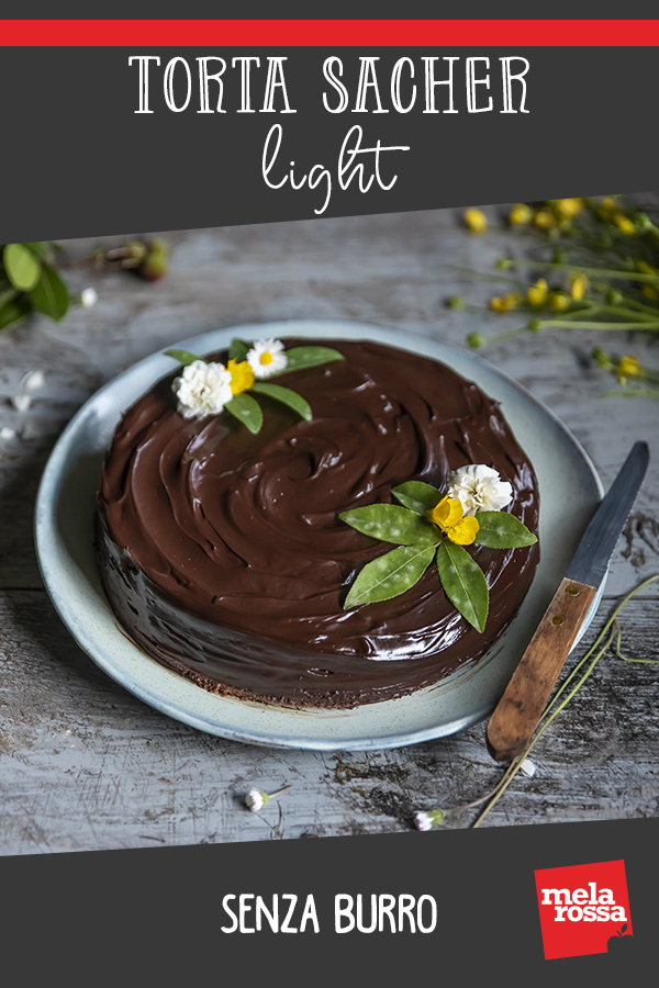 Torta Sacher light senza burro 12 torta sacher light