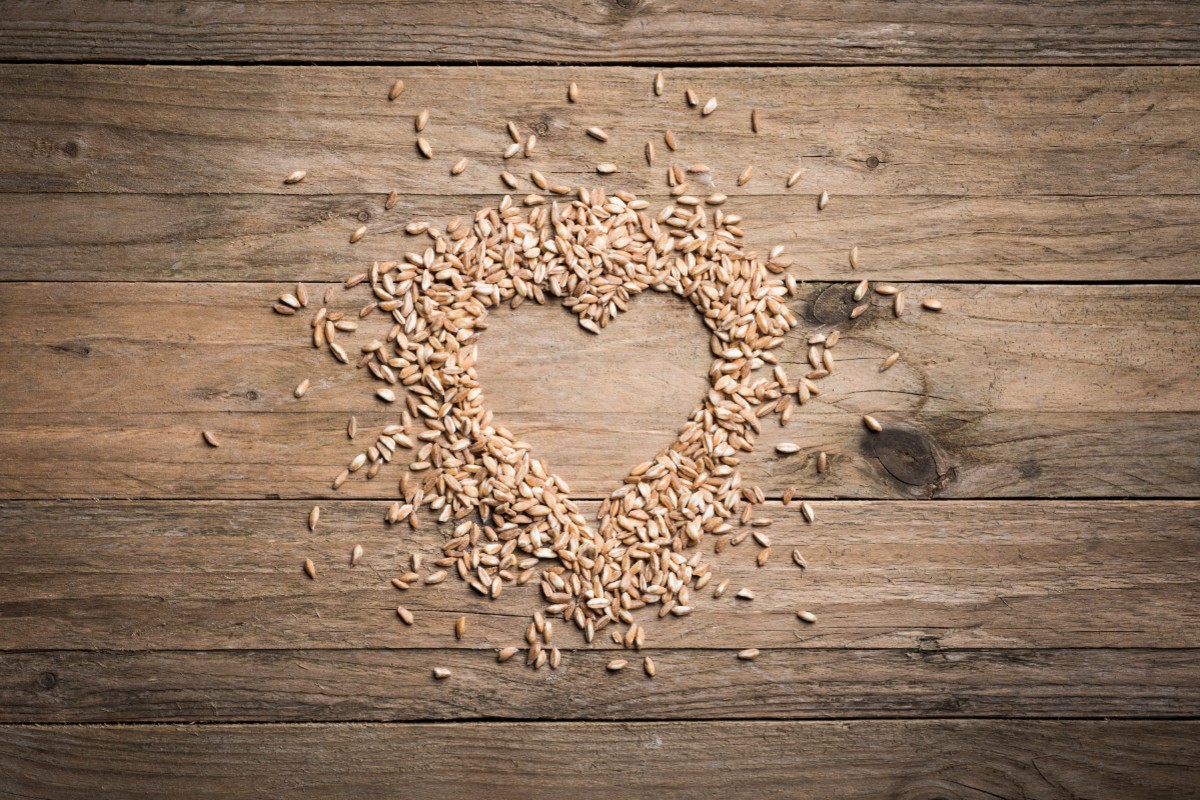 Farro: proprietà, valori nutrizionali, calorie, benefici e usi in cucina 8 farro: habitat e storia