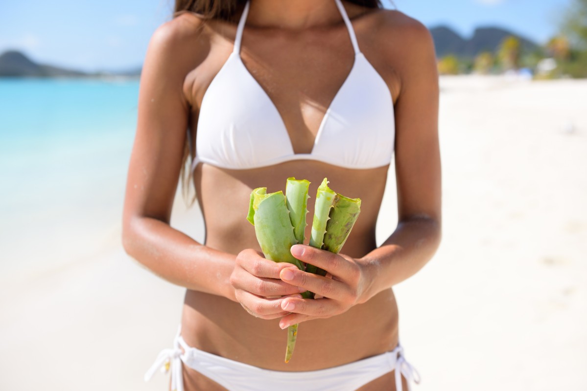Gel di aloe vera: 15 usi e migliori prodotti sul mercato 2 gel di aloe vera contro le scottature