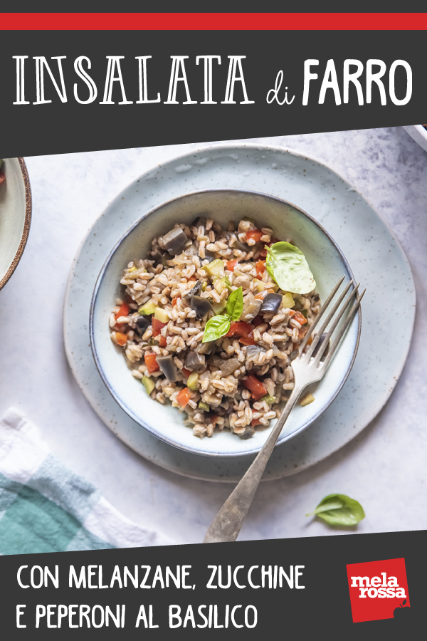 Insalata di farro con melanzane, zucchine e peperoni al basilico 7 insalata di farro 1