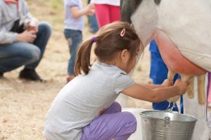 Sana alimentazione e niente sprechi:  dal 5 al 7 luglio, Melarossa &egrave; al Villaggio Coldiretti a Milano