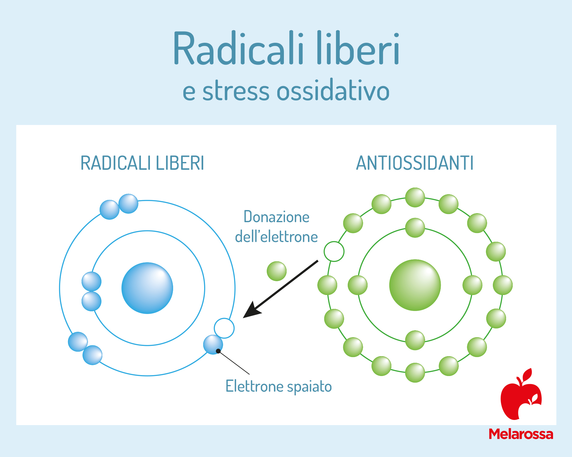 I radicali liberi: cosa sono, perché sono nocivi, come combatterli 1 Radicali liberi e stress ossidativo