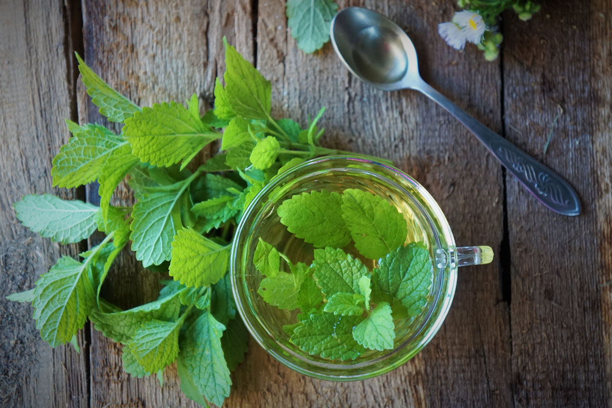 Diverticolite e diverticolosi: cause, sintomi, cure e dieta da seguire per stare meglio 9 diverticolosi diverticolite cure rimedi naturali
