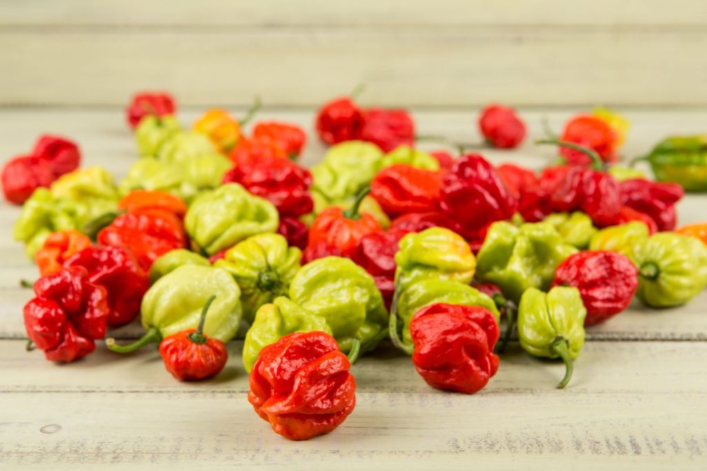 Peperoncini: le varietà del mondo dalle forme e colori più particolari, benefici e piccantezza 2 7-pot-peperoncino
