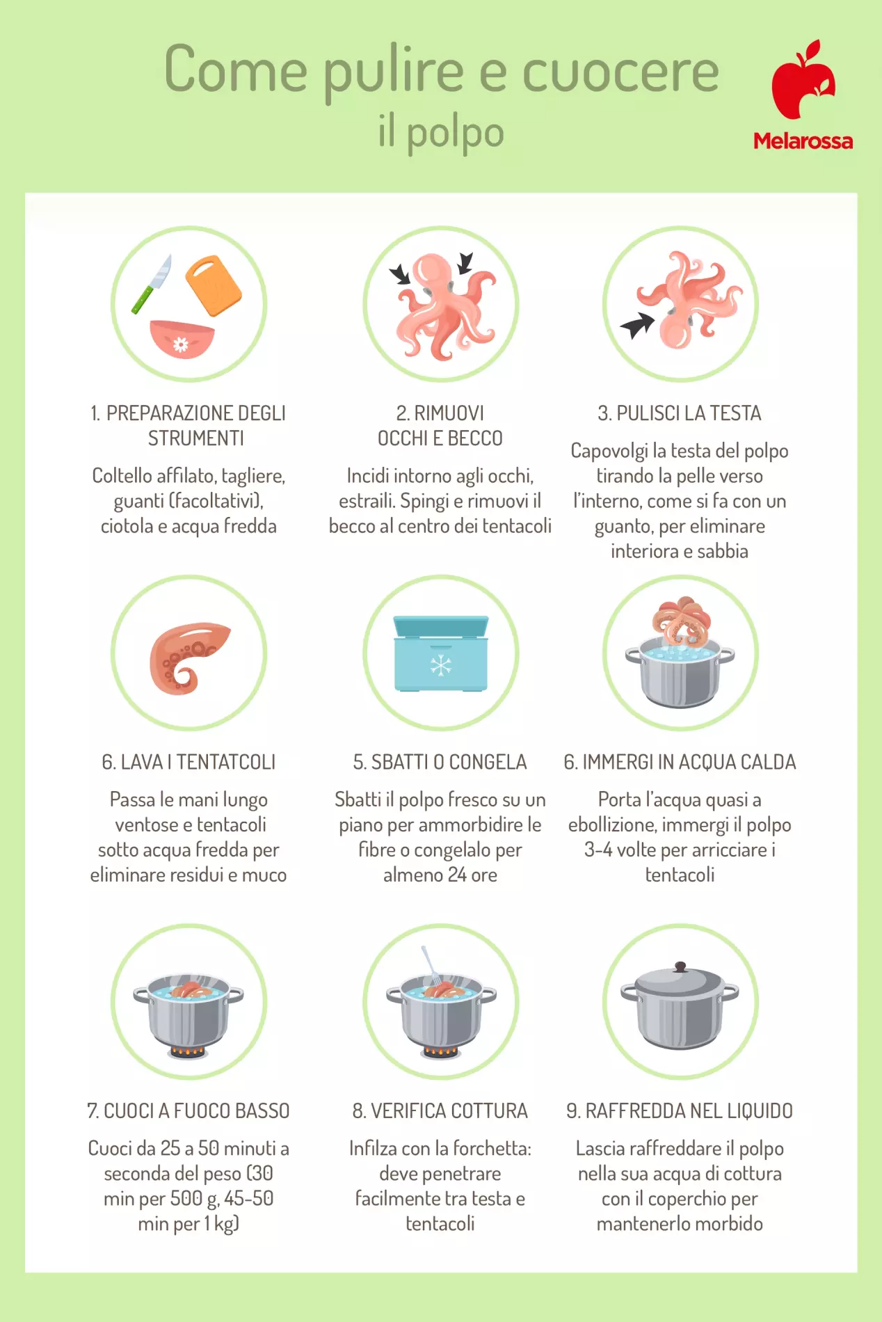 Come cuocere il polpo: metodi di cottura e ricette 1 infografica che illustra come pulire e cuocere il polpo
