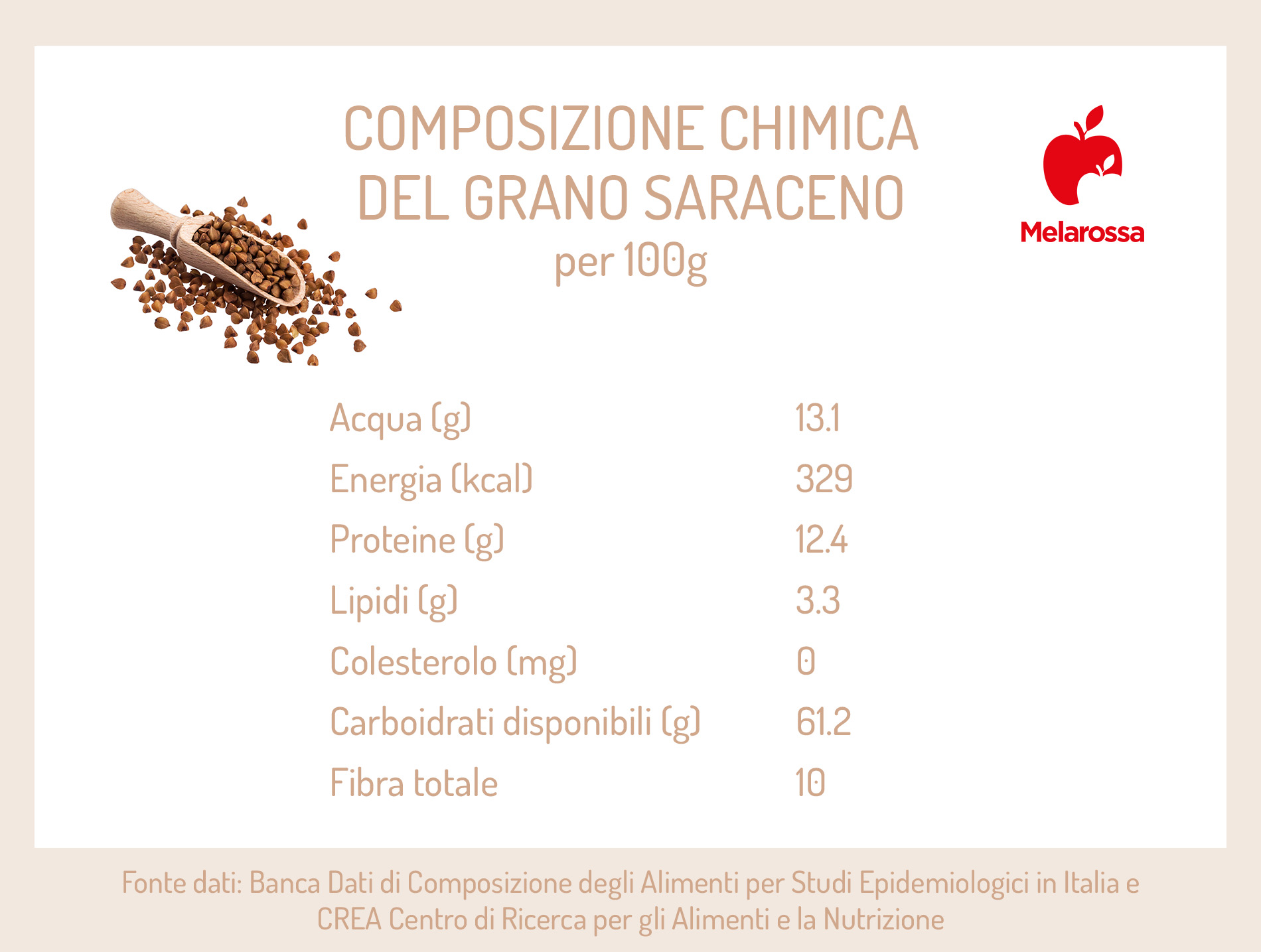 Grano saraceno: proprietà, benefici e utilizzo in cucina 2 grano saraceno: composizione