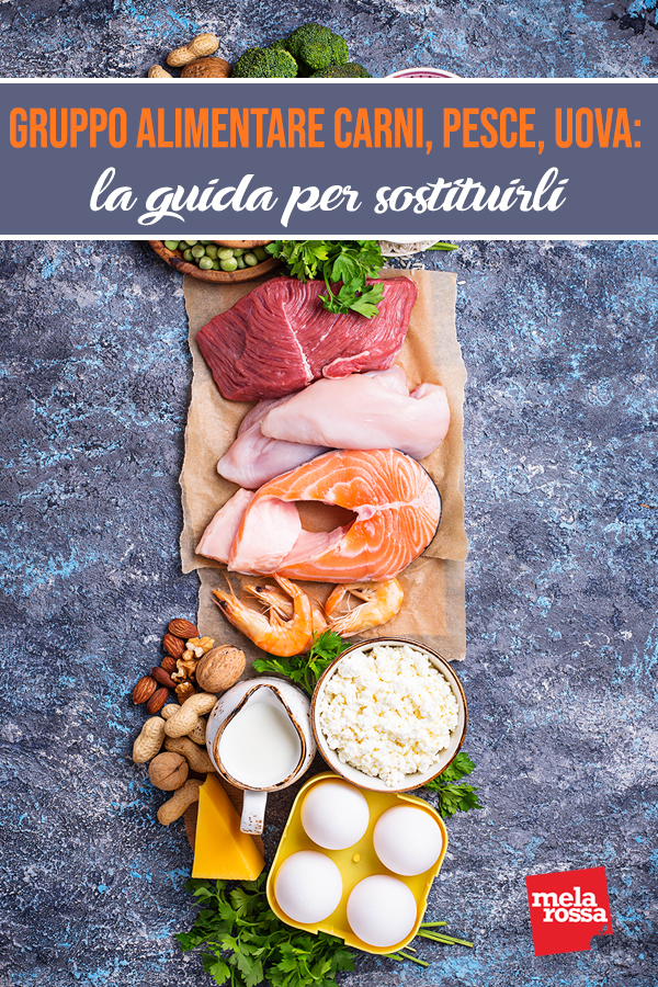 Gruppo alimentare carni, pesce, uova: la guida per sostituirli 5 gruppo alimentare guida
