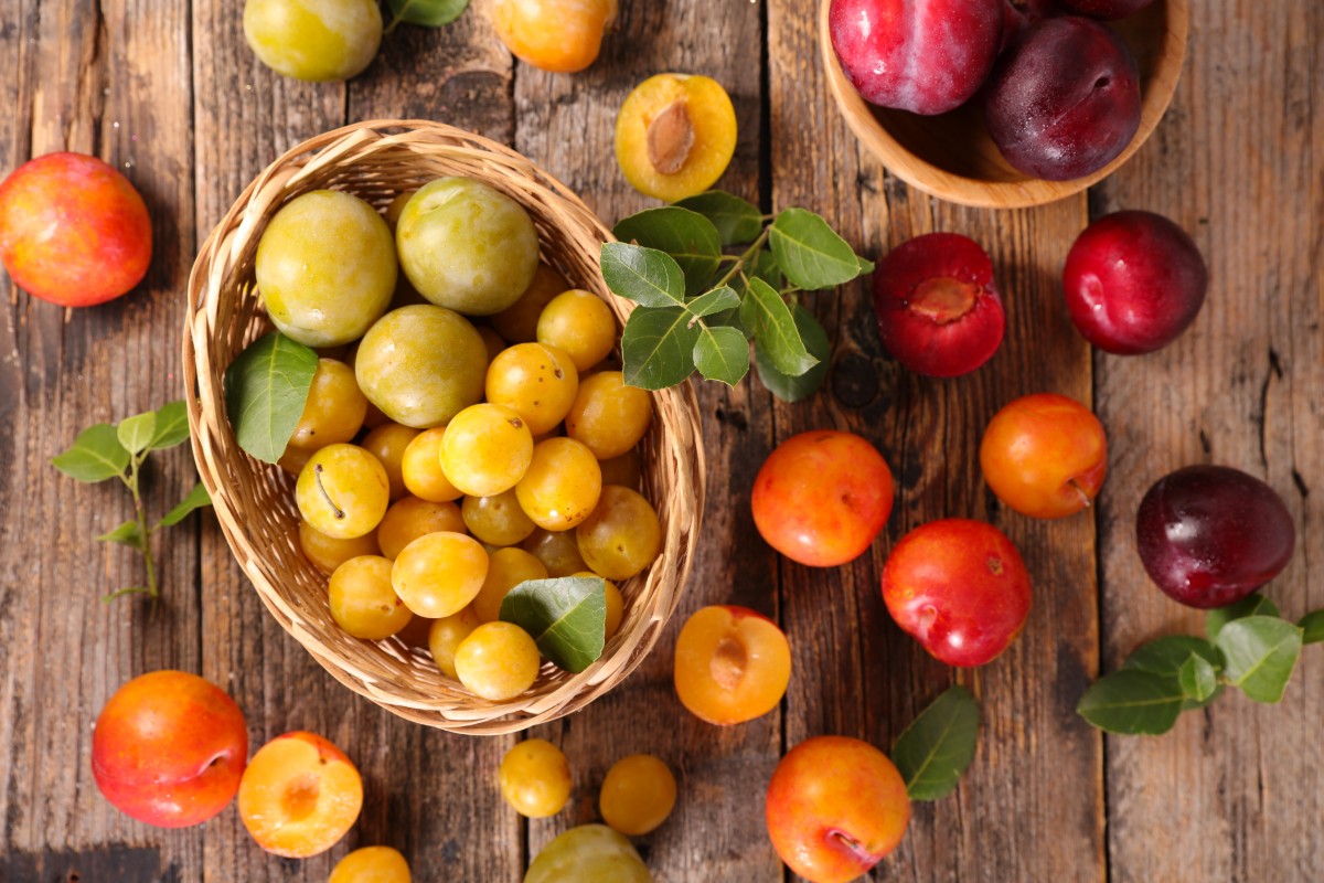 Prugne o susine: calorie, proprietà, benefici e usi in cucina 3 prugne e susine di vari colori sparse su un tavolo e dentro una ciotola