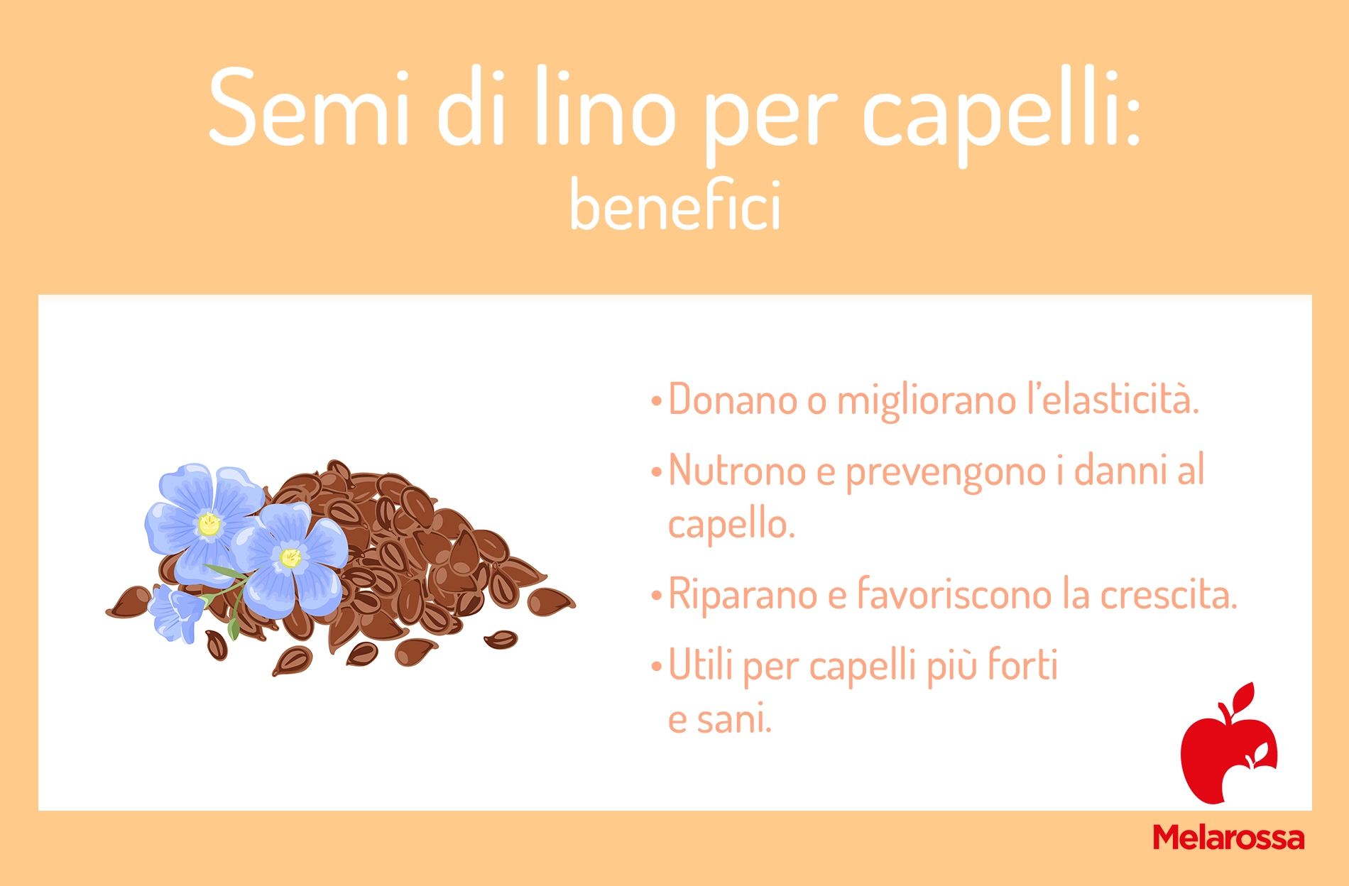 Semi di lino per capelli: benefici, come si usano 1 semi di lino capelli: benefici