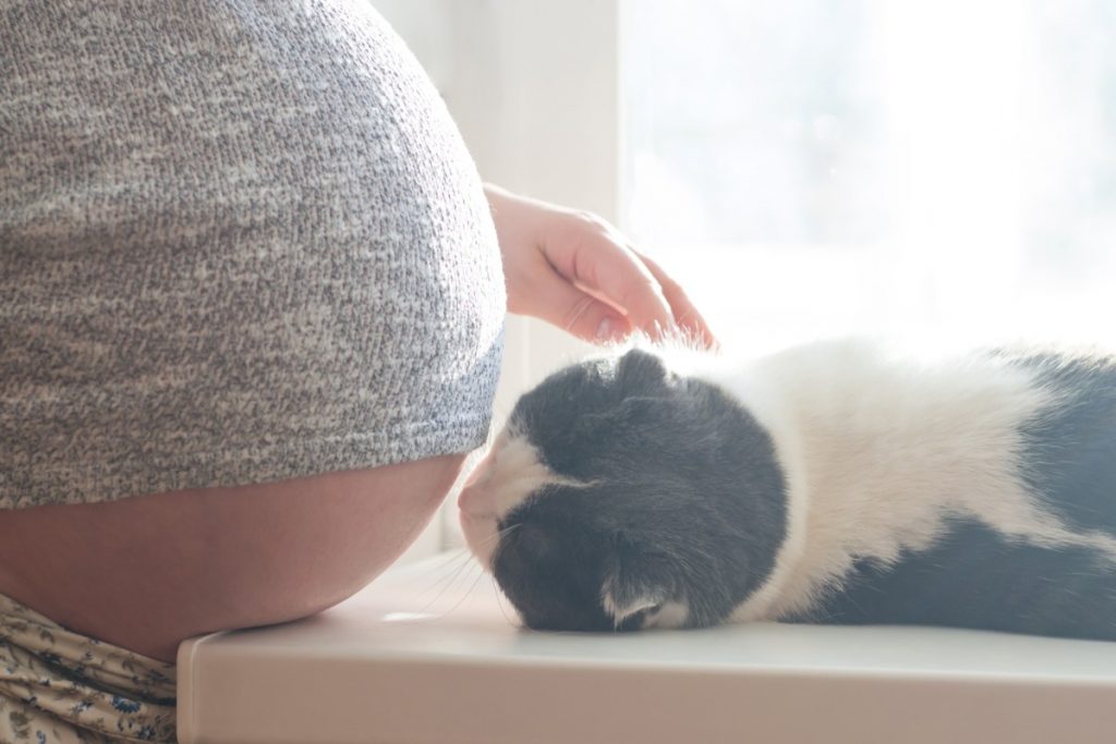 Stile di vita in gravidanza: comportamenti da adottare per te e tuo figlio 9 stile di vita in gravidanza come comportarsi con gli animali