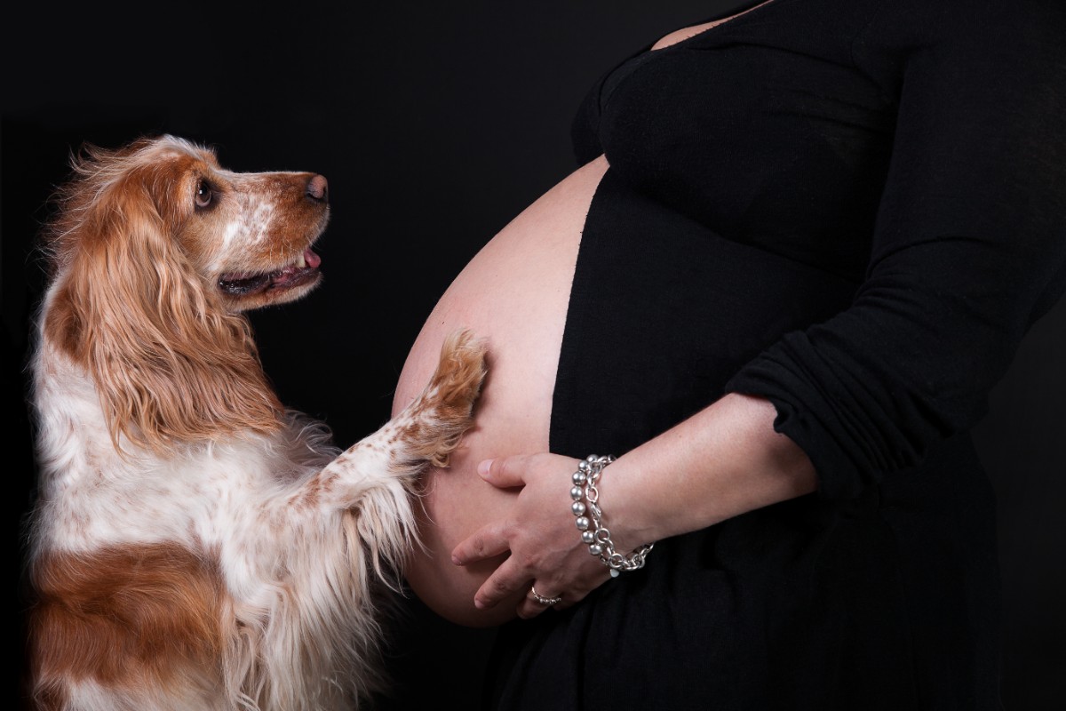 L'alimentazione corretta per ogni età della donna 3 dieta per ogni età della donna: gravidanza