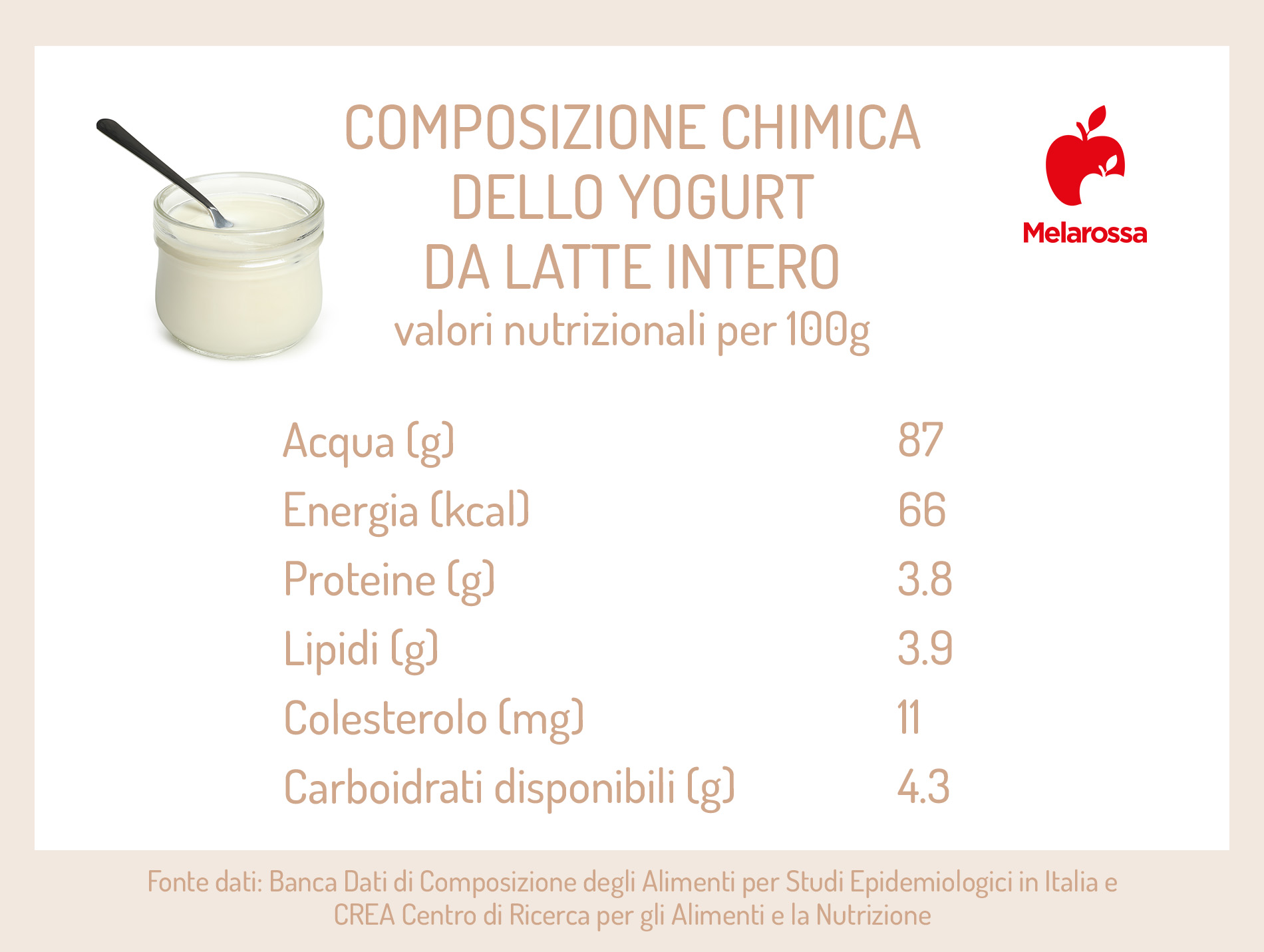 Yogurt: proprietà, benefici e come sceglierlo 1 grafica sulla composizione chimica dello yogurt