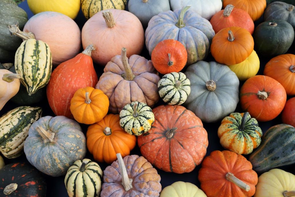 Stagione autunnale: frutta e verdura da preferire per affrontare al meglio i mesi più freddi 2 zucca