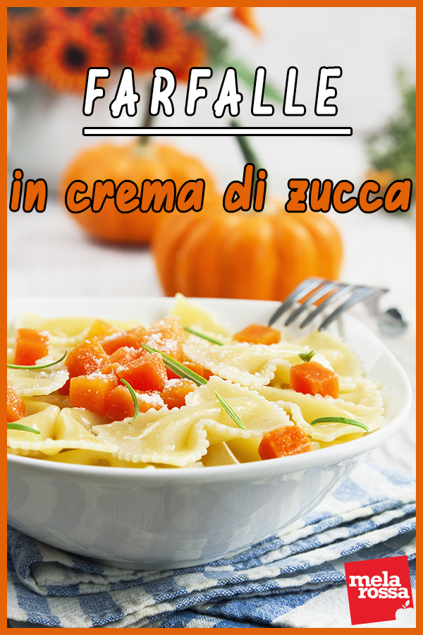 Farfalle in crema di zucca 2 farfalle crema zucca