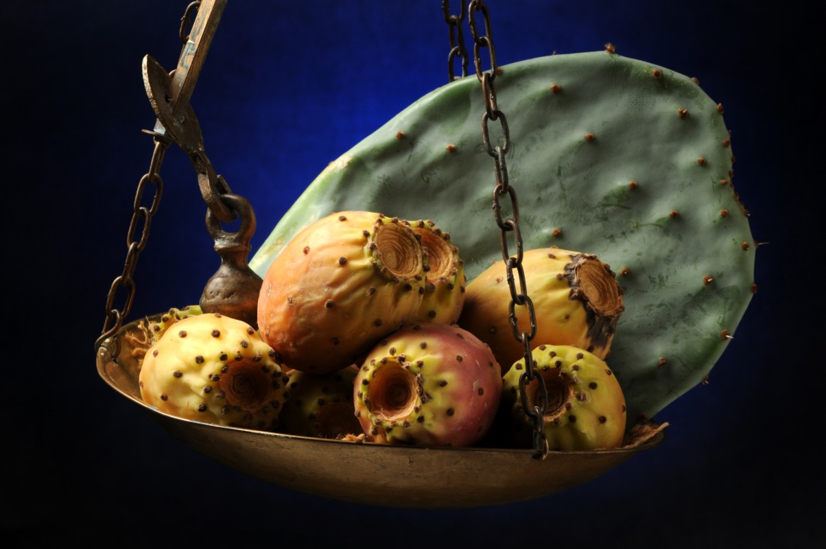 Fichi d'India: cosa sono, proprietà, valori nutrizionali e benefici 8 fichi d'India: come sceglierli