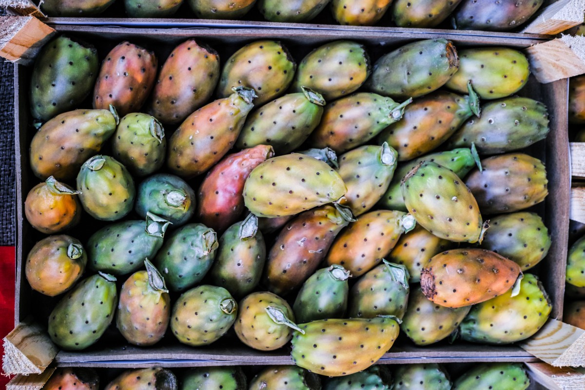 Fichi d'India: cosa sono, proprietà, valori nutrizionali e benefici 9 fichi d'India: storia