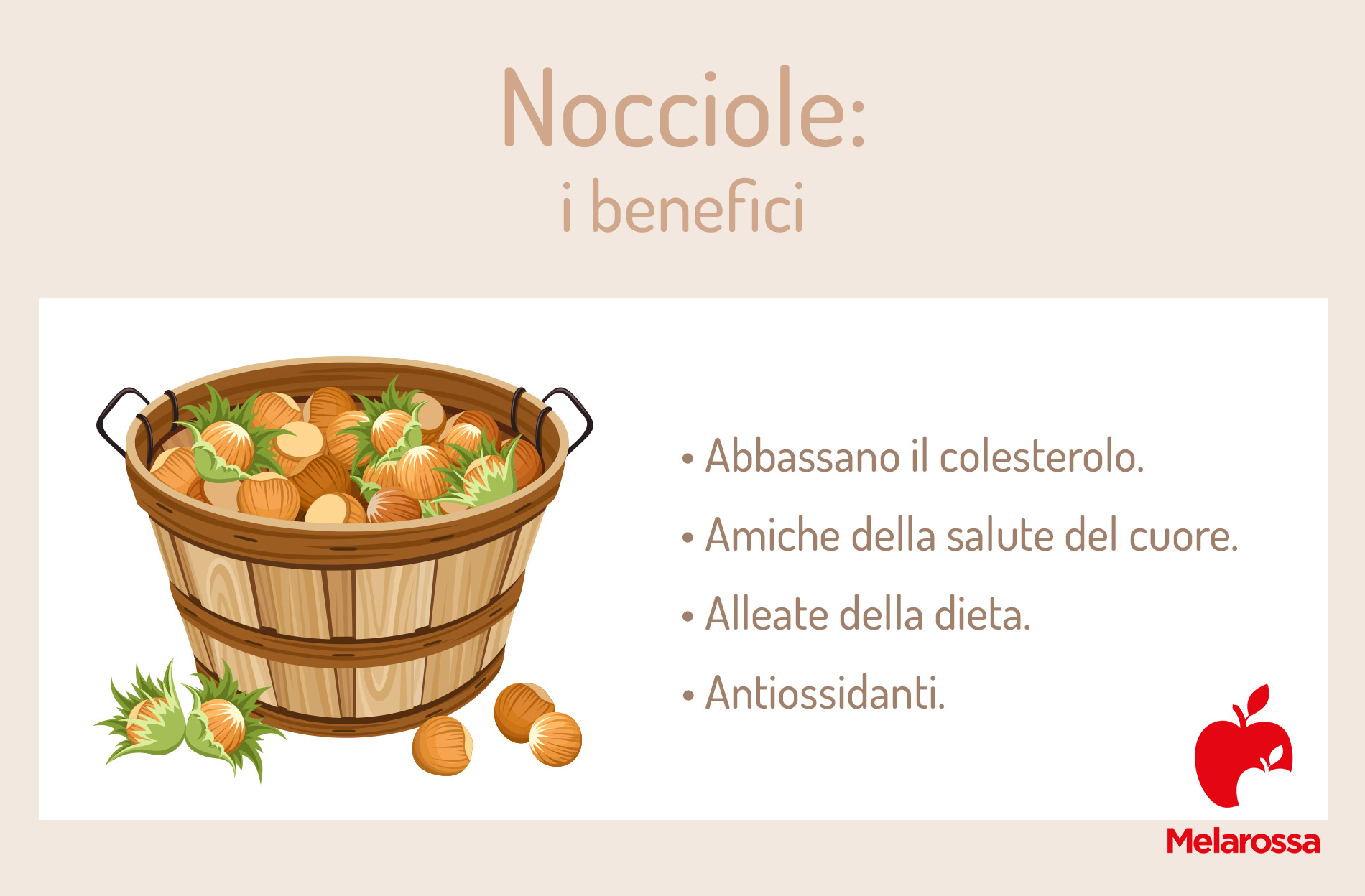 Nocciole: proprietà, calorie e ricette 2 grafica sui benefici delle nocciole