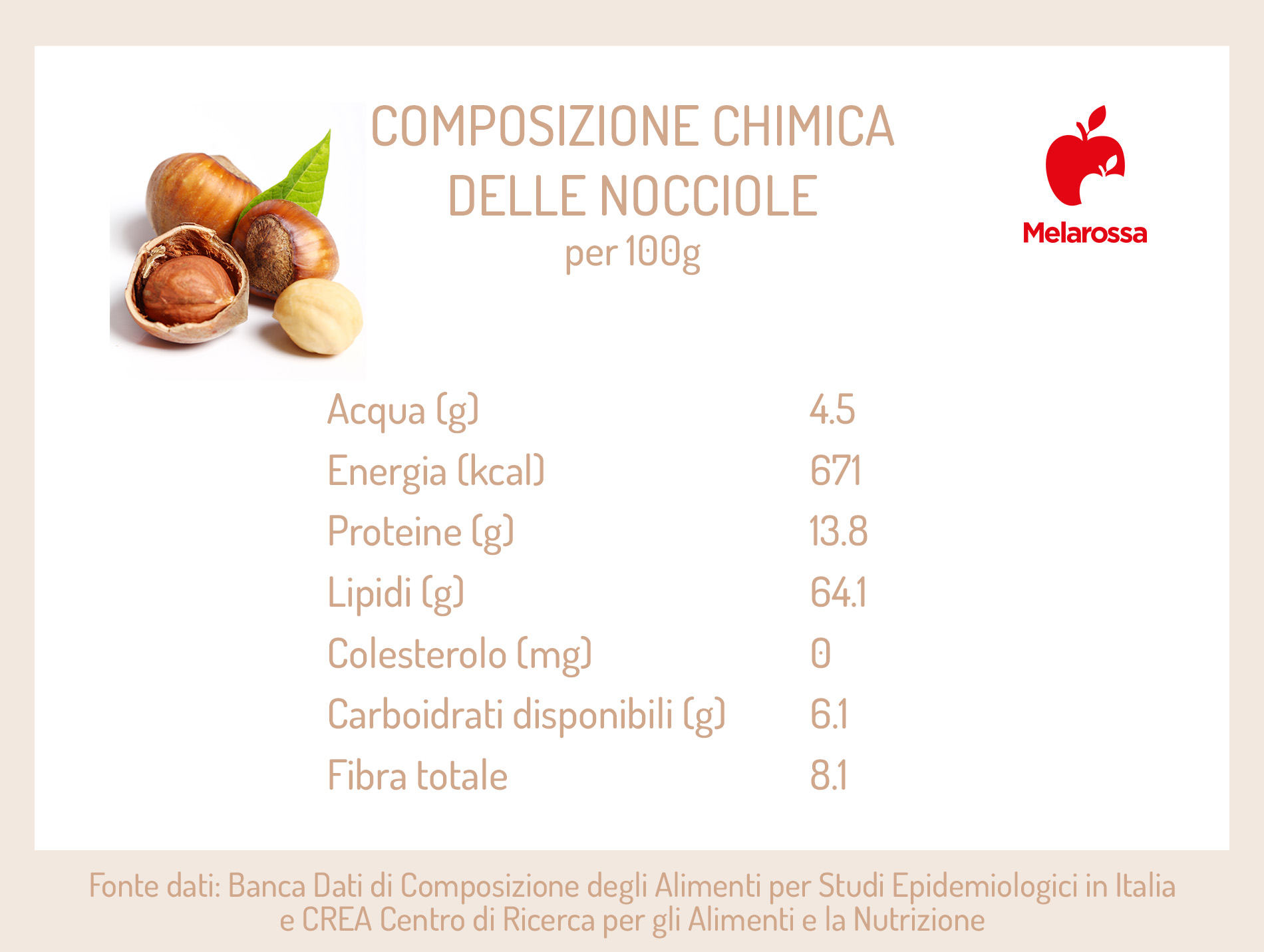 Nocciole: proprietà, calorie e ricette 1 nocciole: composizione