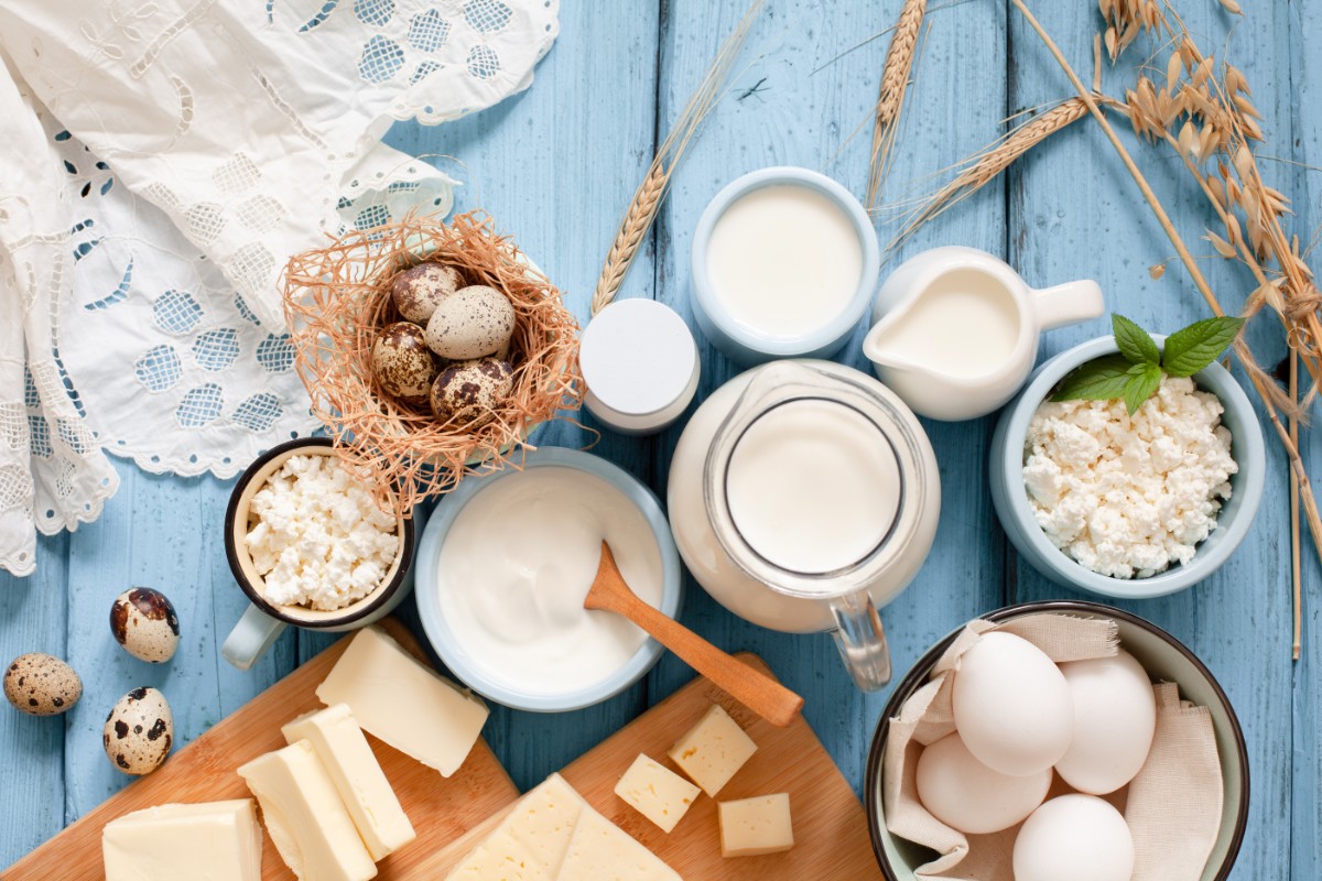 Immunonutrizione: scopri la dieta e i cibi giusti per prevenire l'influenza 5 latte e derivati immunonutrizione