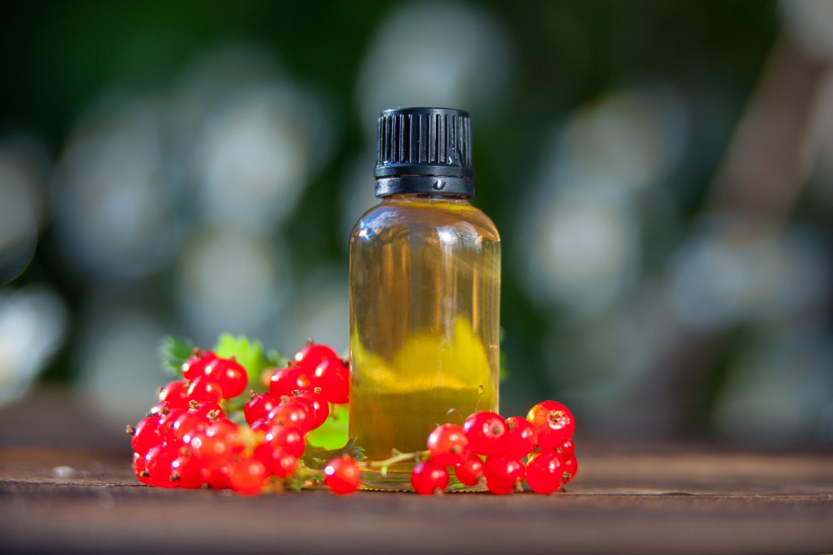 Ribes: cosa sono, valori nutrizionali, benefici per la salute e ricette 4 olio di ribes : benefici