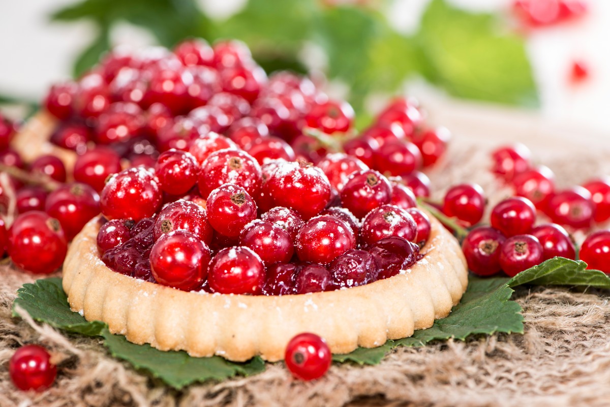 Ribes: cosa sono, valori nutrizionali, benefici per la salute e ricette 6 ribes: come conservarli