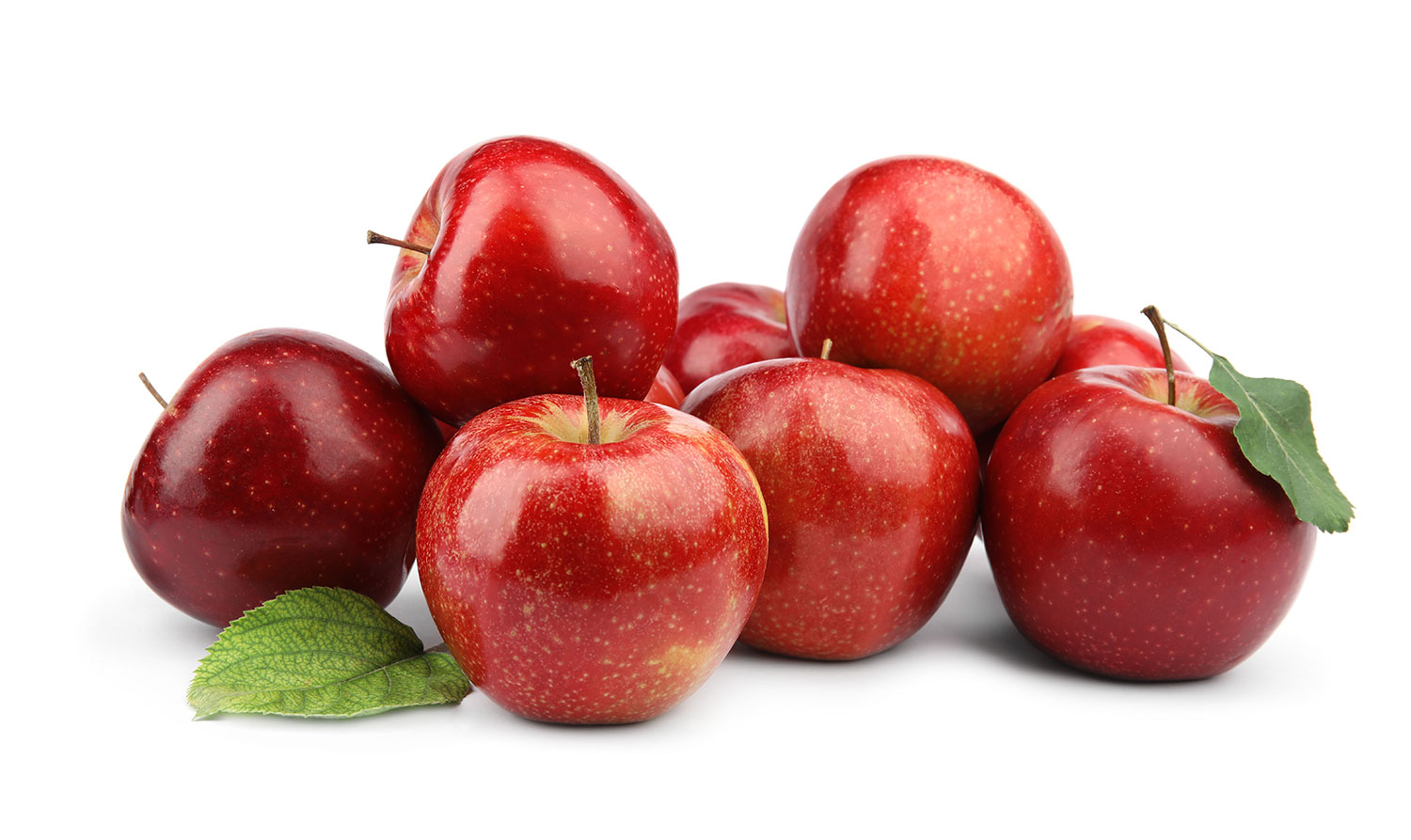 La Mela Rossa Cuneo IGP allieta le feste con la sua dolcezza 1 mele rosse