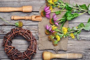 Echinacea: propriet&agrave;, usi e controindicazioni