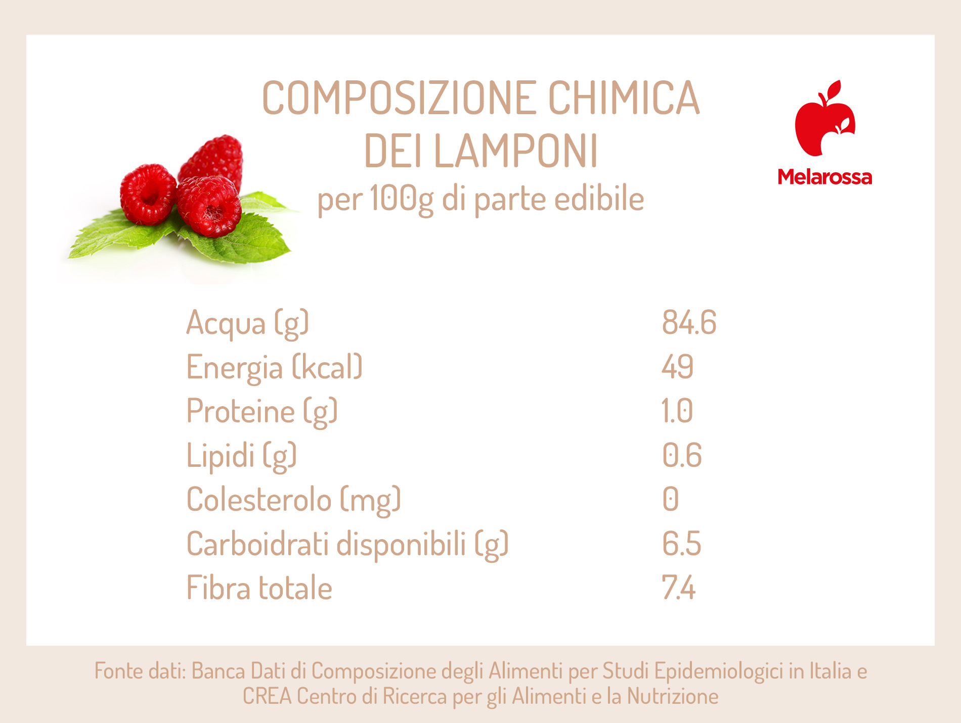 Lamponi: proprietà, valori nutrizionali, benefici per la salute e usi in cucina 3 Lamponi: cosa contengono