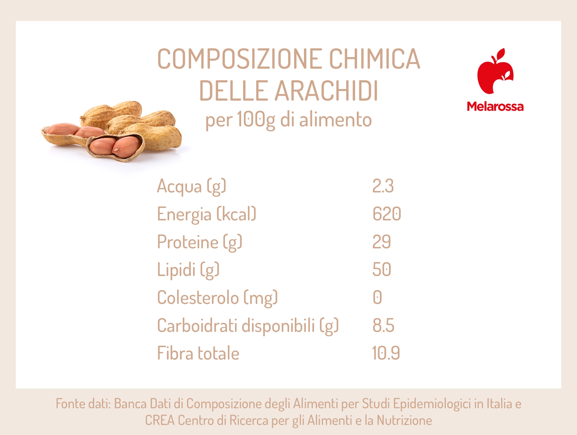 Arachidi: valori nutrizionali, proprietà, calorie e controindicazioni 3 Arachidi: composizione