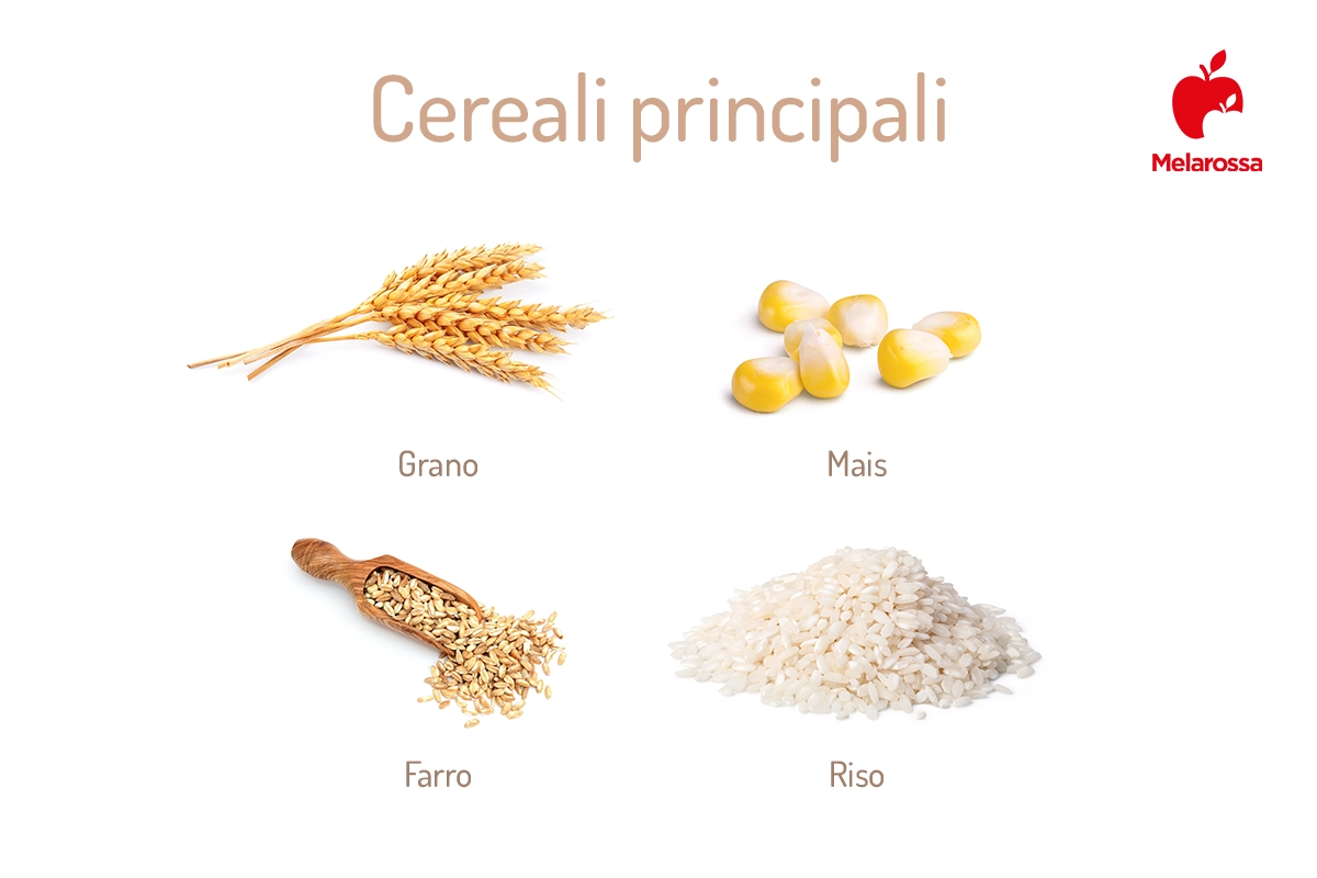 Cereali: quali sono, proprietà e benefici per una dieta salutare 1 Cereali, principali tipologie