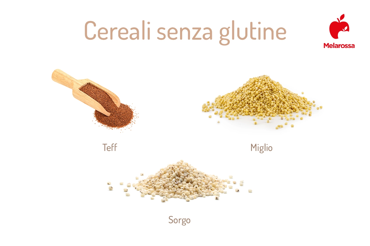 Cereali: quali sono, proprietà e benefici per una dieta salutare 4 cereali senza glutine, quali sono