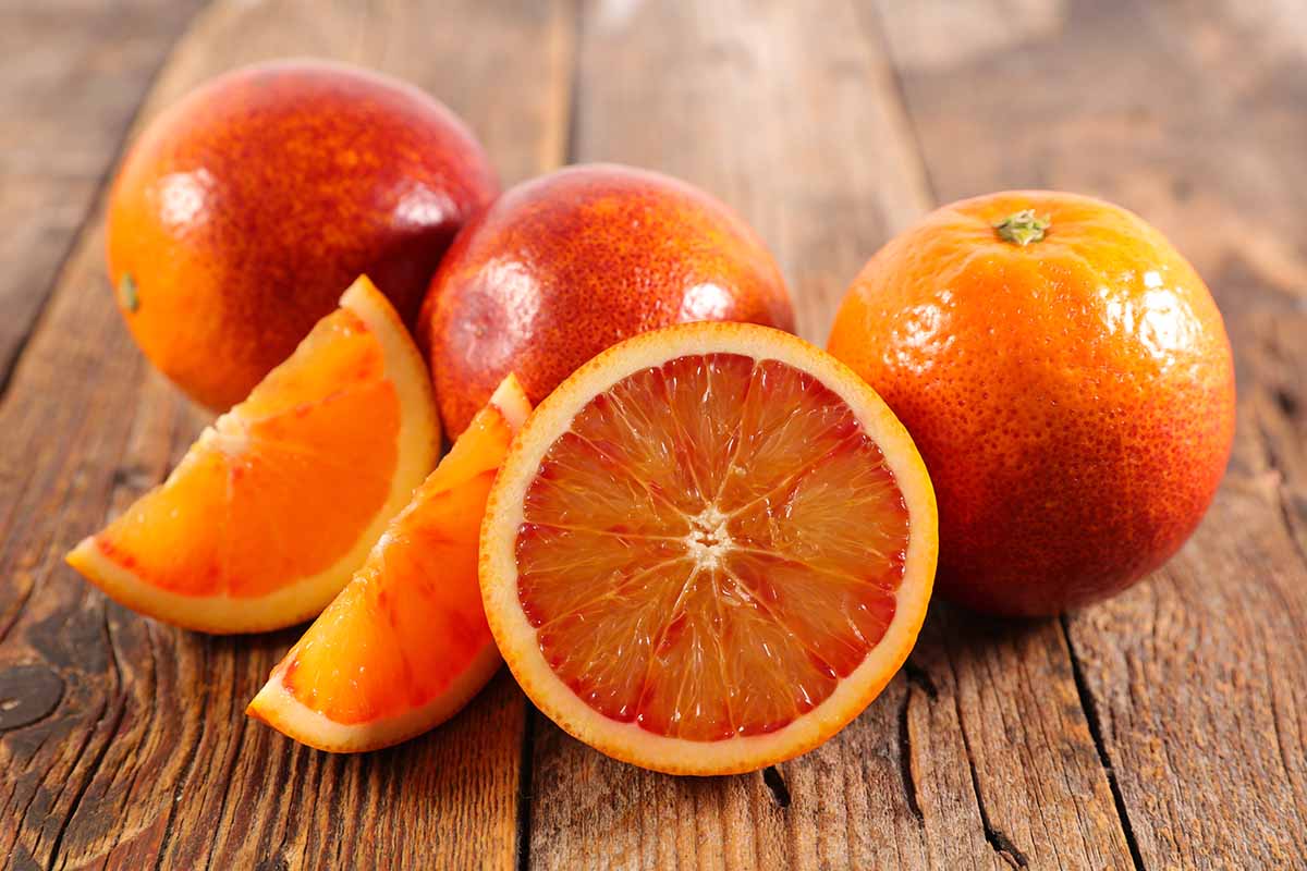 Scopri i 10 cibi per combattere il freddo a tavola 5 combattere il freddo a tavola