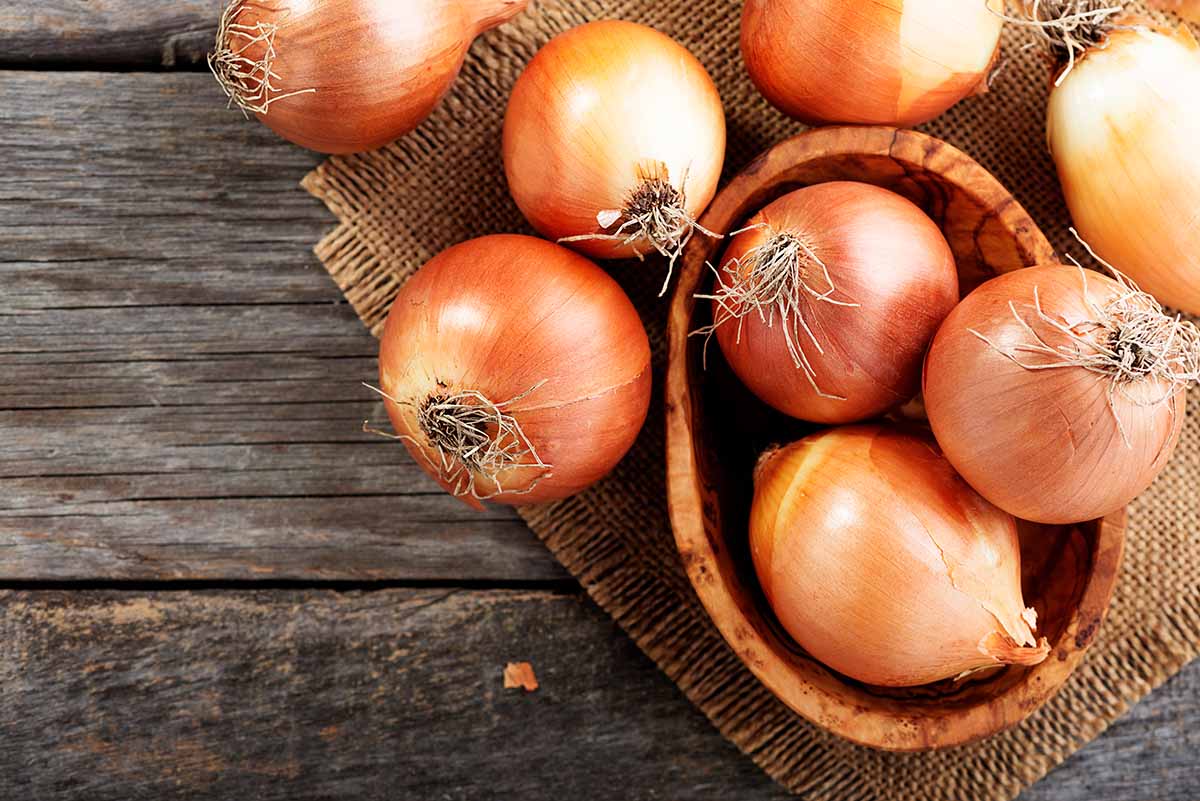 Scopri i 10 cibi per combattere il freddo a tavola 10 combattere il freddo a tavola