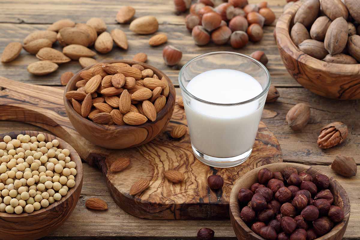 Scopri i 10 cibi per combattere il freddo a tavola 3 combattere il freddo a tavola