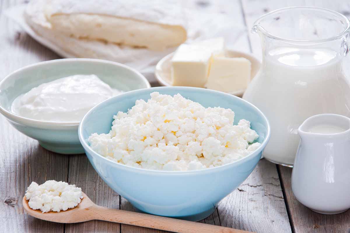 Scopri i 10 cibi per combattere il freddo a tavola 8 combattere il freddo a tavola