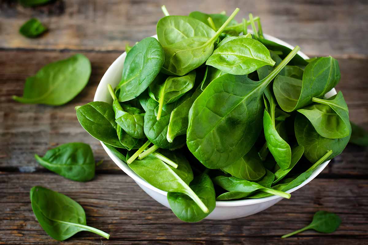 Scopri i 10 cibi per combattere il freddo a tavola 6 combattere il freddo a tavola