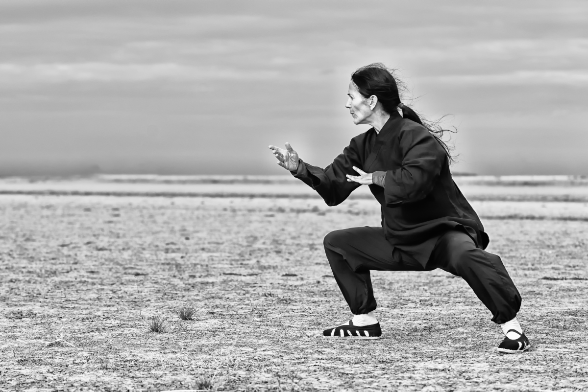 Kung fu: cos'è, storia e filosofia, benefici e tecniche di combattimento 5 Kung fu e tai chi