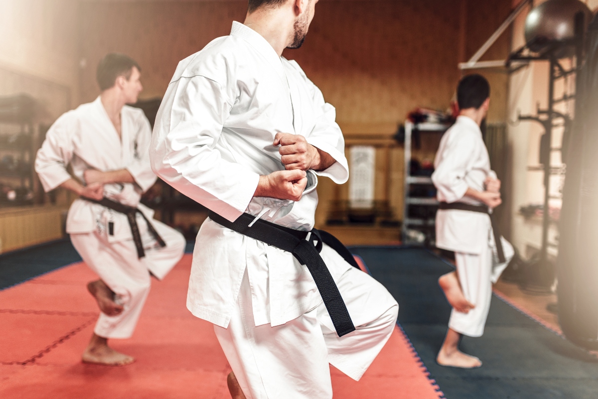 Karate: che cos’è, storia, filosofia, come si pratica e come si combatte 2 karate: benefici per tutti