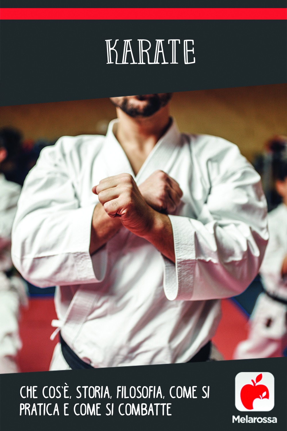 Karate: che cos’è, storia, filosofia, come si pratica e come si combatte 19 karate: cos'è, storia, filosofia, come si pratica e combattimento