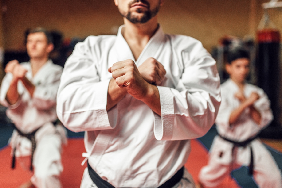 Karate: che cos’è, storia, filosofia, come si pratica e come si combatte 8 Stili della World Karate Federation