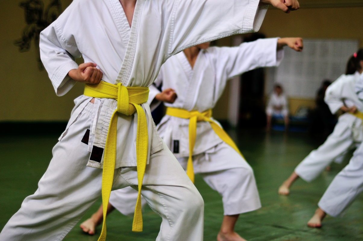 Karate: che cos’è, storia, filosofia, come si pratica e come si combatte 13 posizioni del karate: alcuni esempi