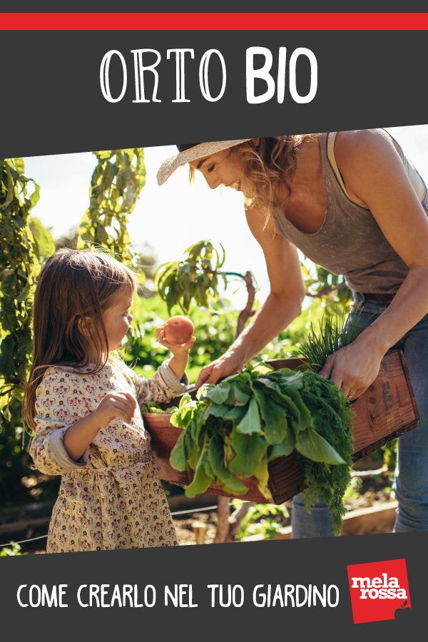 Come creare un orto bio nel tuo giardino 1 orto-bio-pinterest
