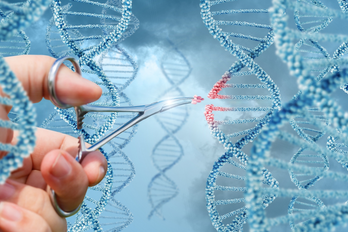 Ricerca, individuato un codice tridimensionale del Dna 1 ricerca dna