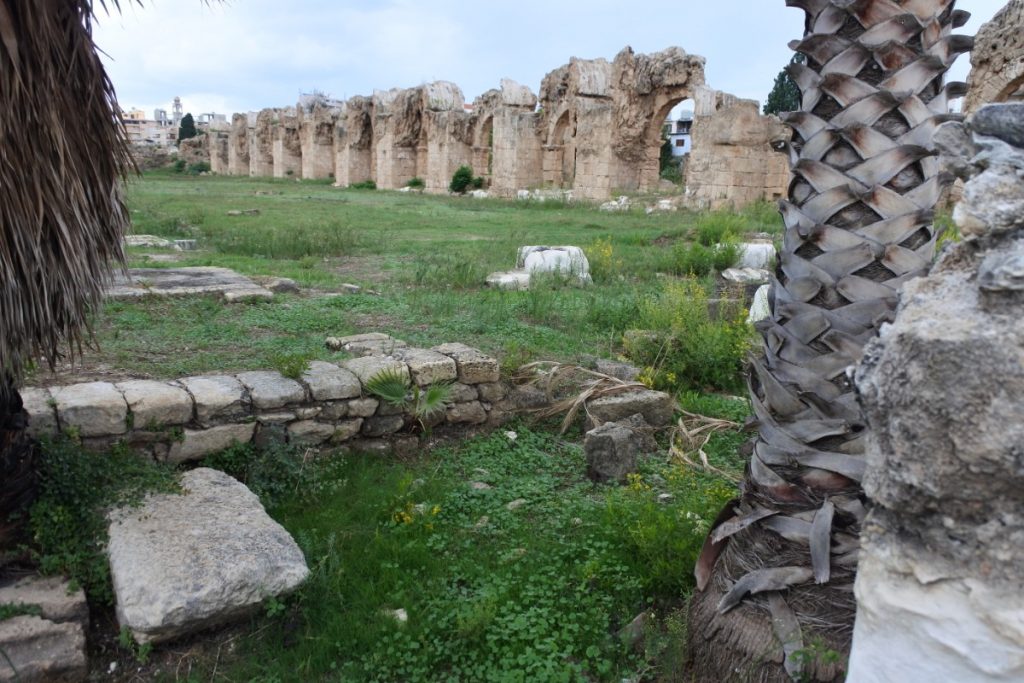 Libano: dalla valle della Bekaa a Tiro 20 tiro al bass 6