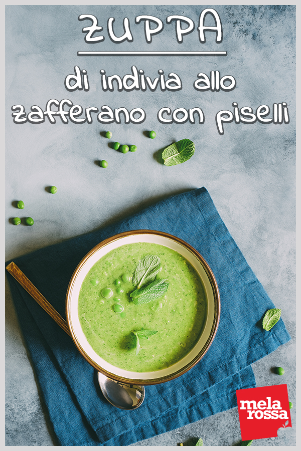 Zuppa di indivia allo zafferano con piselli 8 zuppa indivia